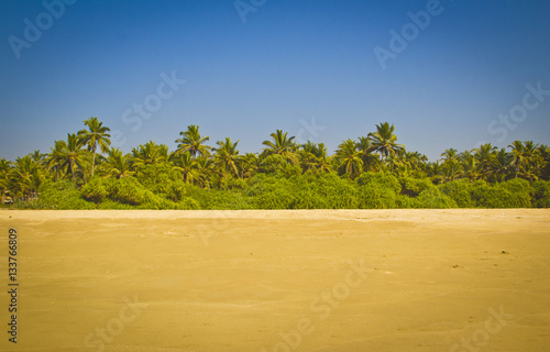 Majorda Beach India photo