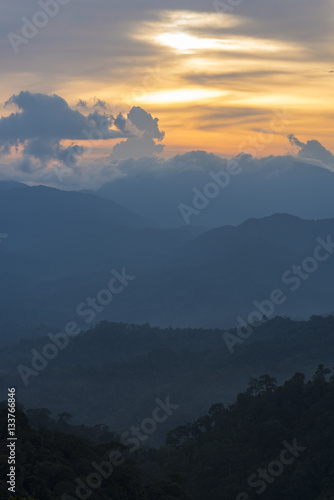 Tropical mountain forest, p...
