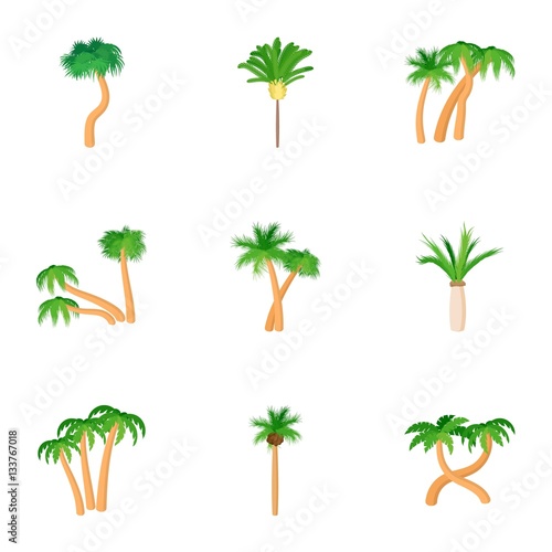 Tree palm icons set  cartoon style