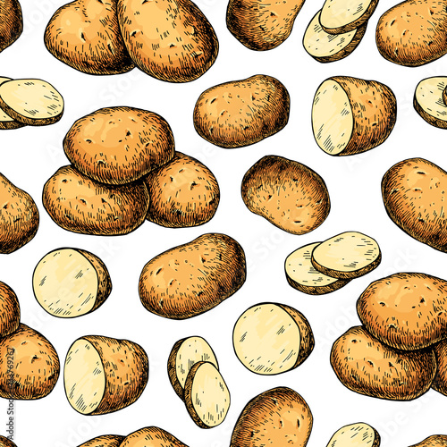 Potato vector seamless pattern. Hand drawn food background. Drawing
