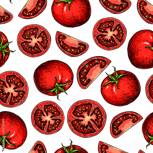 Vector tomato seamless pattern drawing. Isolated tomatoes and sliced pieces. Vegetable