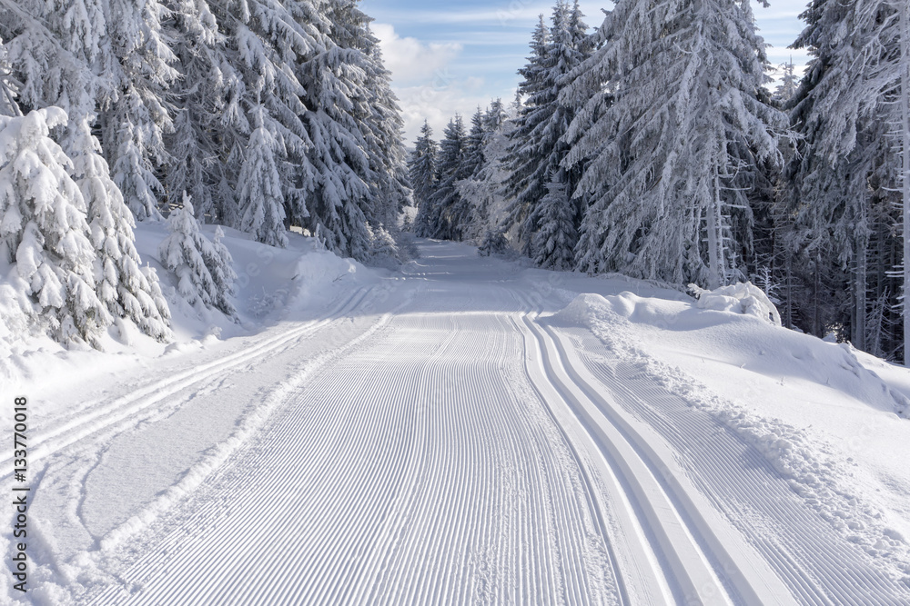 Fototapeta premium Groomed ski trail in sunny winter day on mountains road. trees covered with hoarfrost illuminated by the sun.