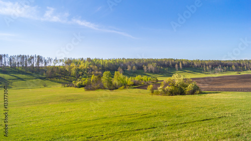 Calm landscape with green grass