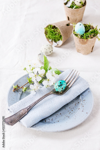 Table setting decor colorful Easter quail eggs with spring cherry flowers, moss in garden pots, empty plates, vintage fork over white tablecloth. 