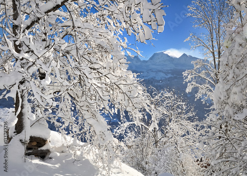 branches recouvertes de neige et montagne en fond