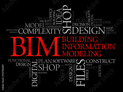 BIM - building information modeling word cloud, business concept