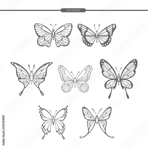 Set black butterflies isolate on white background. Hand drawing. Vector illustration.