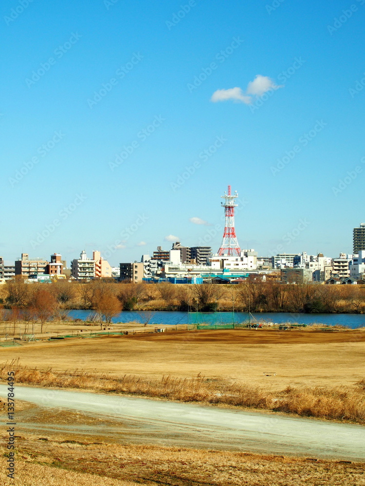 冬枯れの河川敷風景