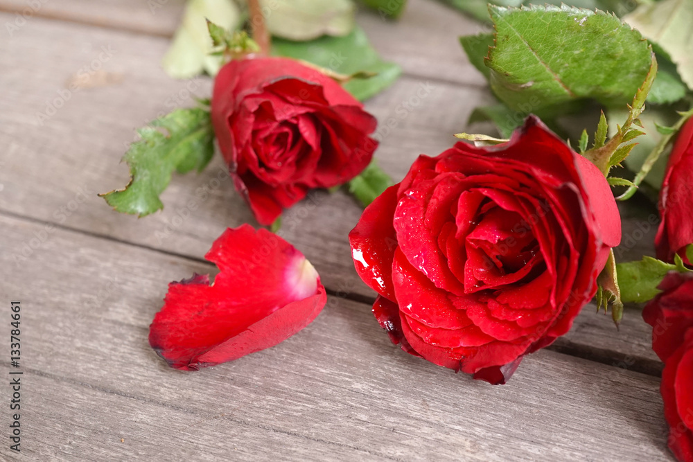 Red roses on wood, Valentines Day background, wedding day and anniversary