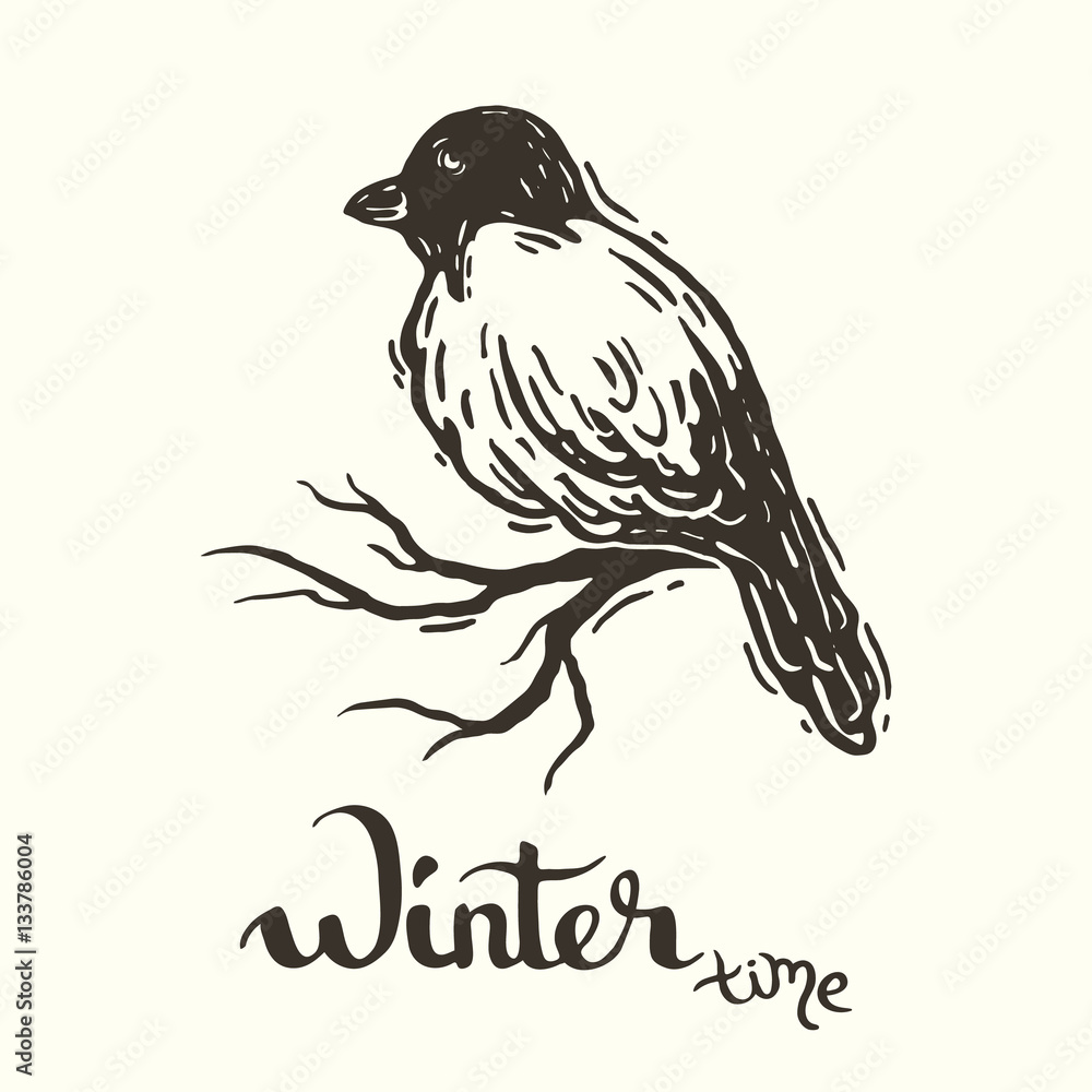 Obraz premium Bird on branch