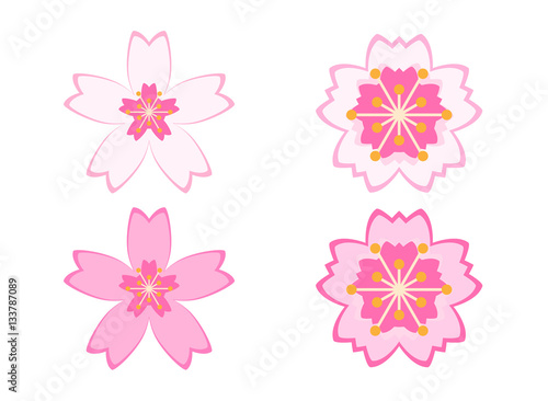 桜の花