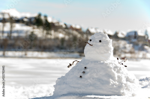 chubby snowman and de focused background