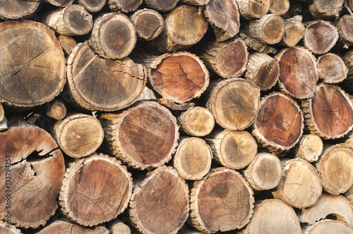 Well arranged cut dry oak firewood closeup aa background