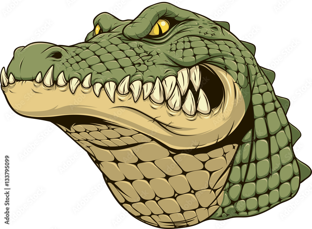 Naklejka premium Okrutna głowa aligatora