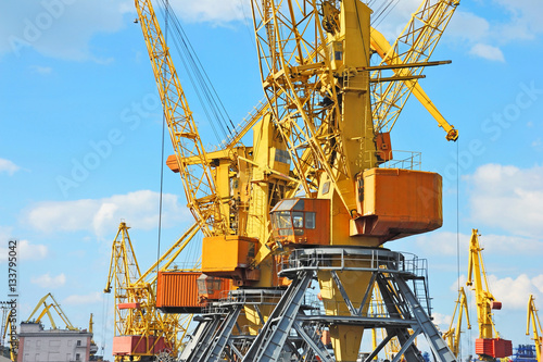 Port cargo crane