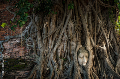 Selective soft focus of Buddha head in tree roots at Ayutthaya