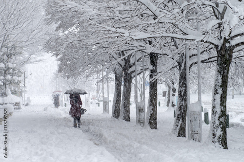 雪の歩道