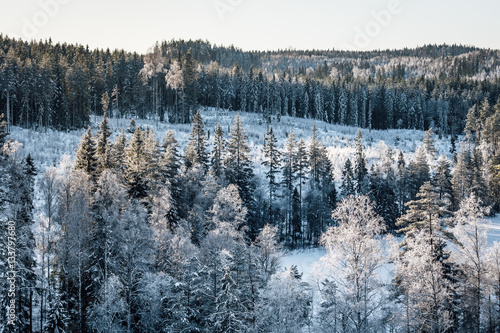 Winter land
