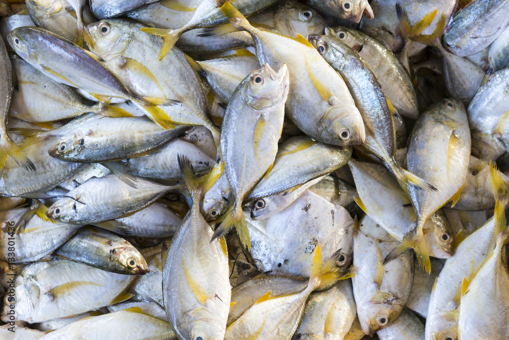Fischmarkt - Fische mit gelben Flossen