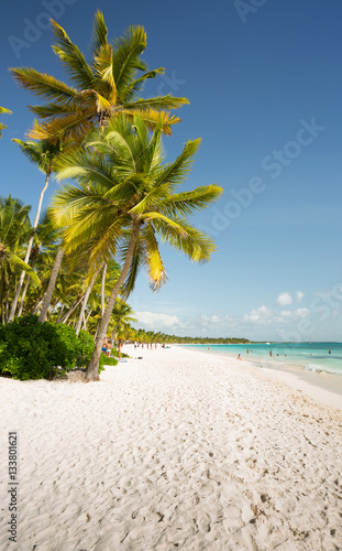 Fototapeta Naklejka Na Ścianę i Meble -  Saona Island Tropical Beach in Punta Cana, Dominican Republic