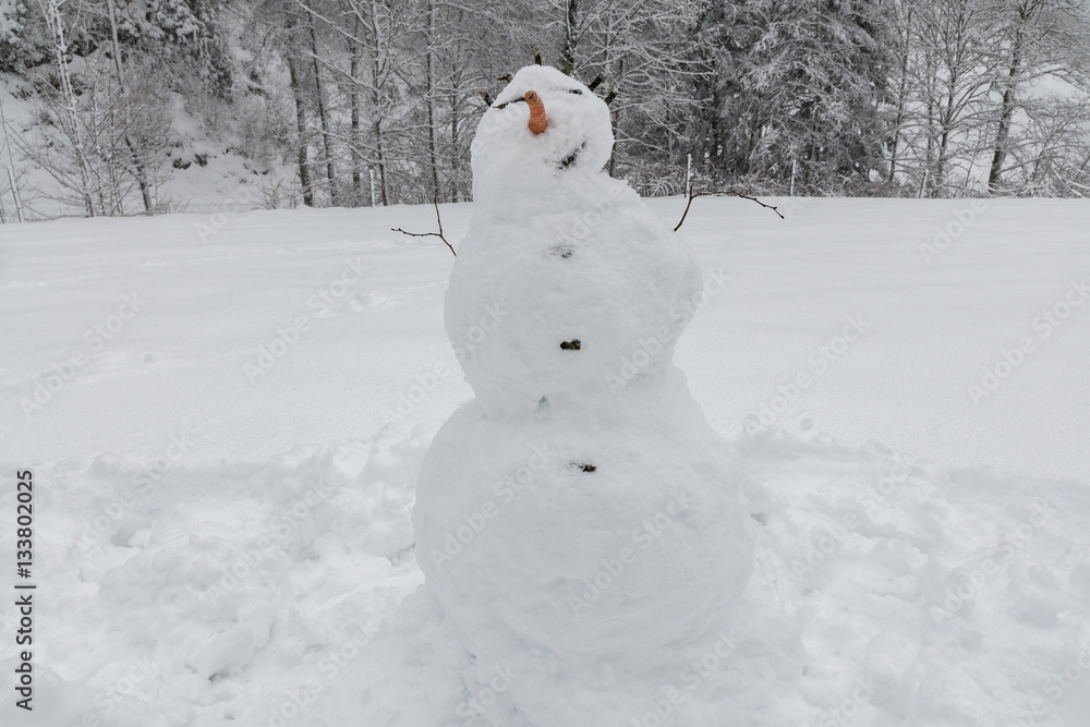 Obraz premium Schneemann