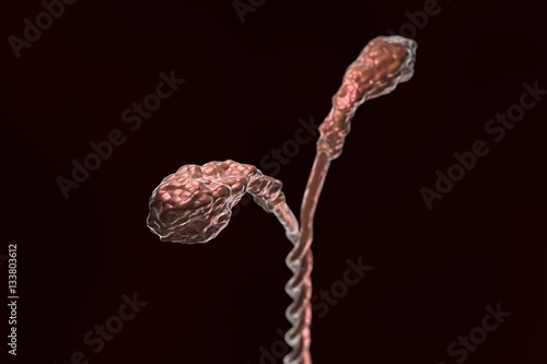 Myosin molecule structure illustration on dark background photo