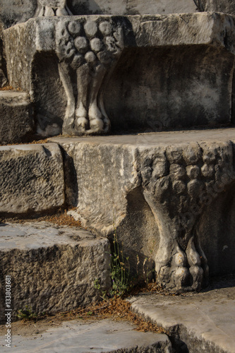 Lion's foot sculpture photo