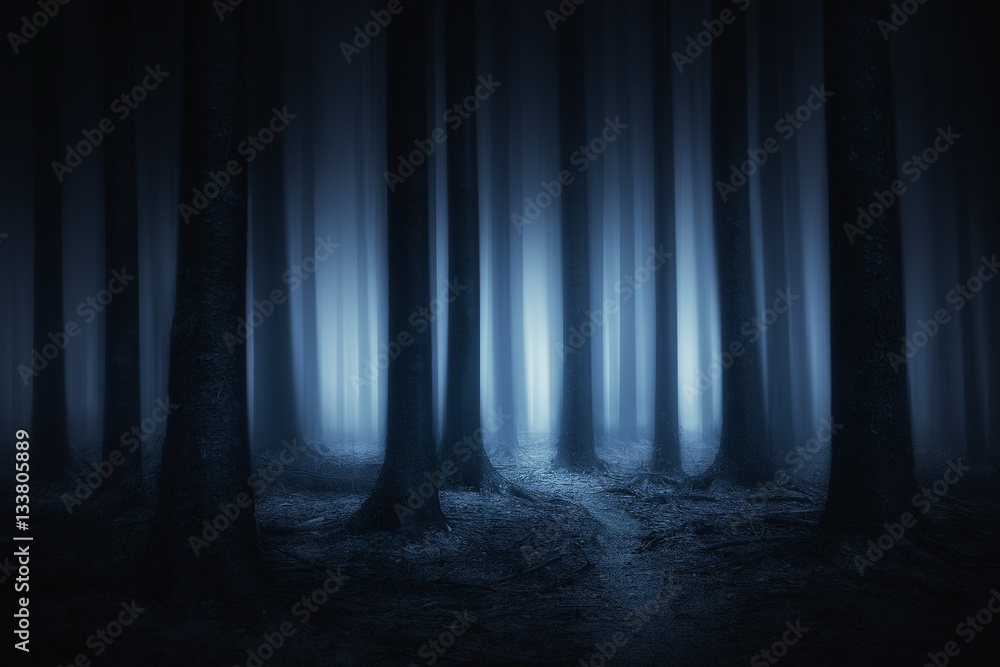 Naklejka premium ciemny i przerażający las nocą