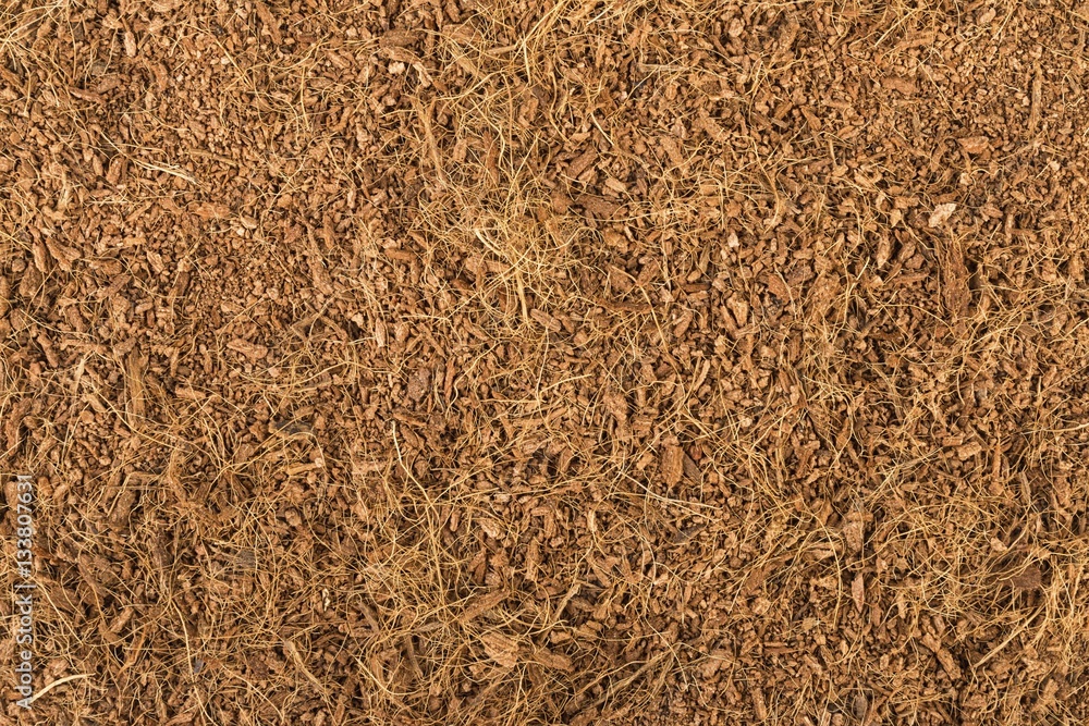 Dry coconut coir. Macro shot. Dry coconut coir. Macro shot.