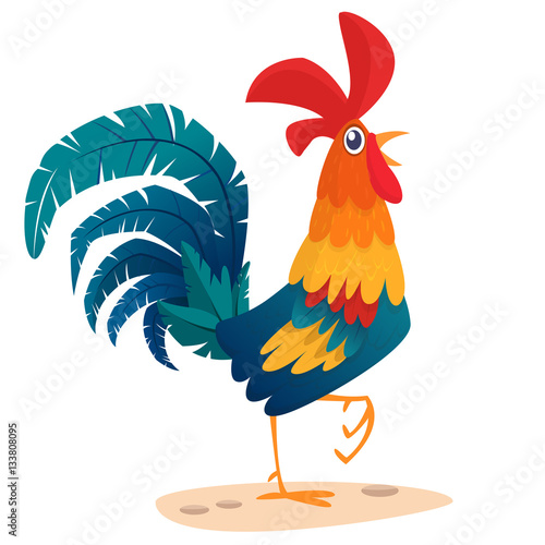 Fototapeta Cartoon rooster stands on one leg, vector illustration