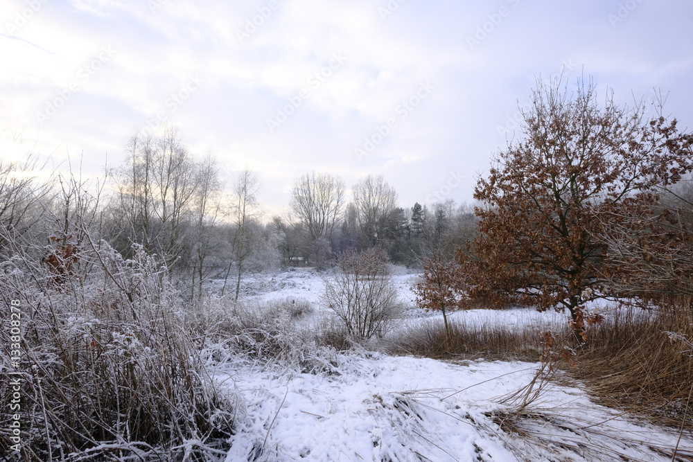 Naturschutzgebiet Obere Ihleniederung Naturschutzgebiet Obere Ihleniederung