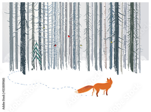 Winter forest landscape with a Fox. 