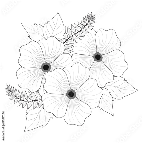 Beautiful black and white bouquet of flowers, isolated on white background