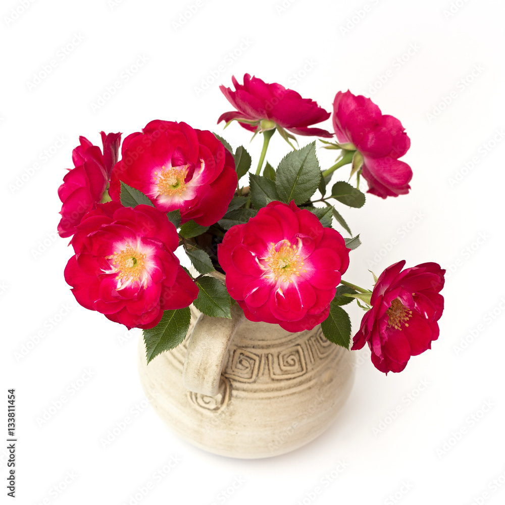 red roses on a white background red roses on a white background