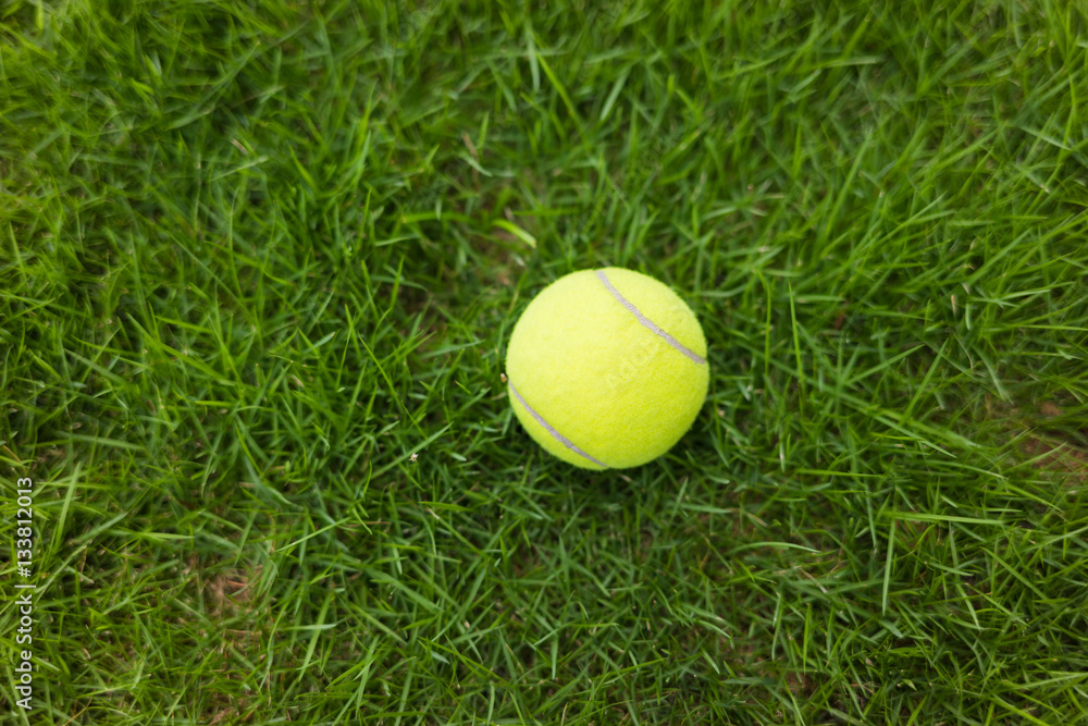 Tennis ball on green leaf background