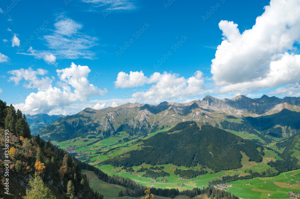 Colorful view of the Alps in the summer