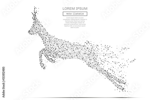 Grey run roe with polygon line on abstract background. Polygonal space low poly with connecting dots and lines. Connection structure. Vector science background.