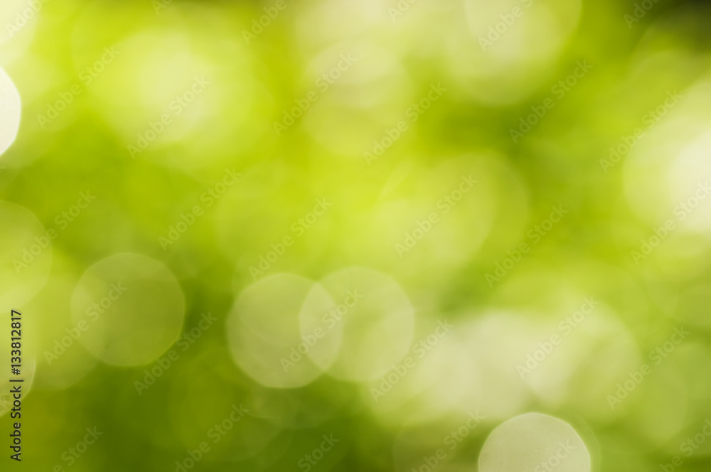 Obraz premium summer blurred green background with bokeh effect