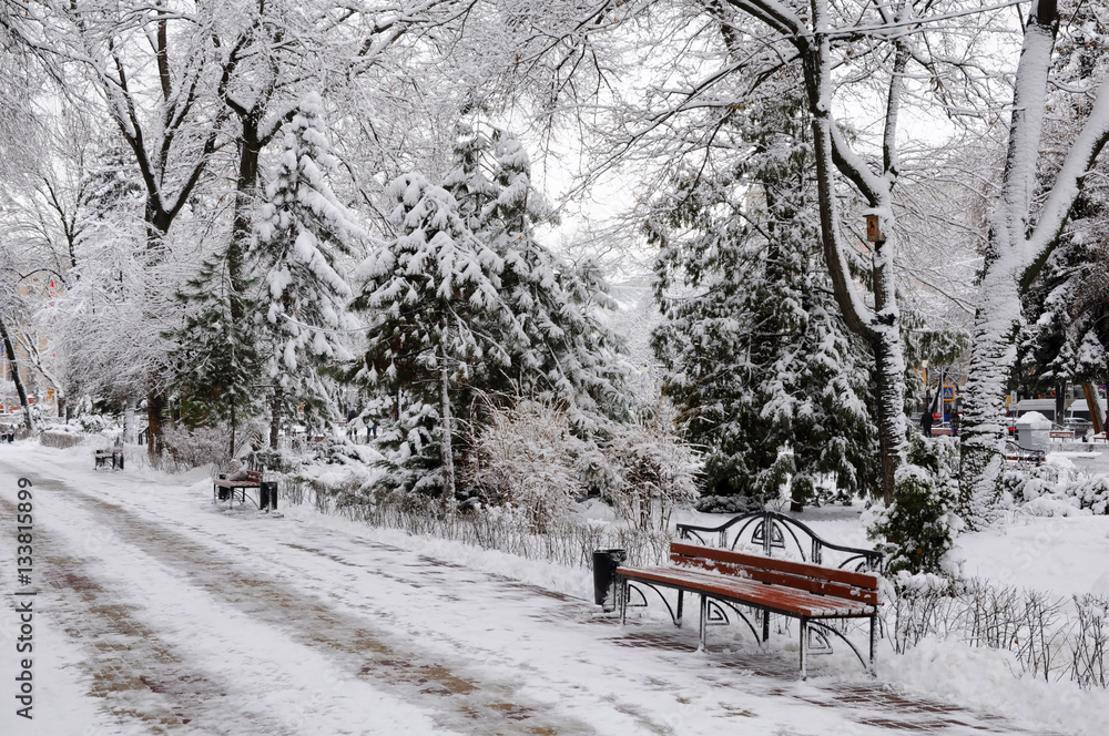 Snow-covered city park