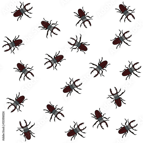 Beetles  set on an isolated background © nata_art