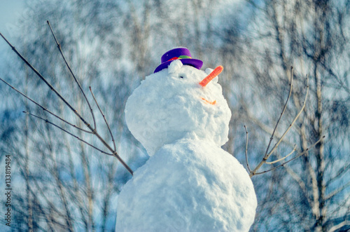 Snowman with purple hat. photo
