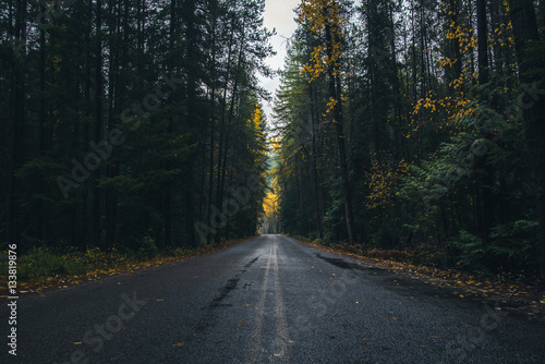 Fototapeta Naklejka Na Ścianę i Meble -  Autumn forest road.