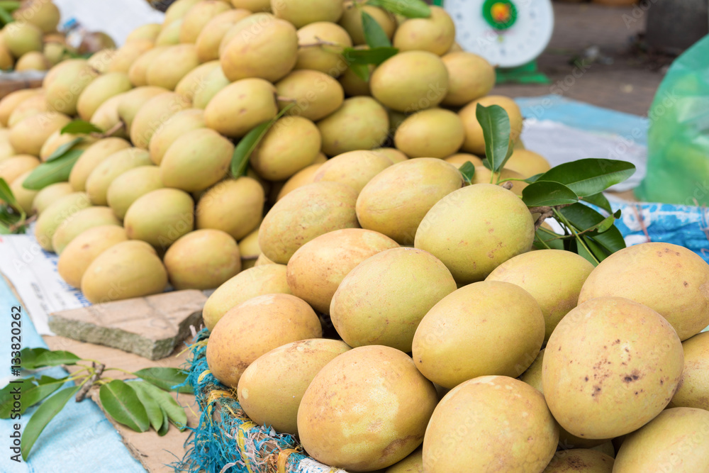 Sapodilla, tropical fruit displayed at Vinh Long fruit market, Mekong delta. The majority of Vietnam's fruits come from the many orchards of the Mekong Delta Sapodilla, tropical fruit displayed at Vinh Long fruit market, Mekong delta. The majority of Vietnam's fruits come from the many orchards of the Mekong Delta
