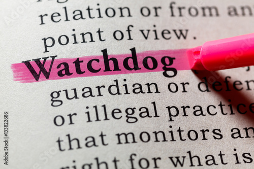 definition of watchdog
