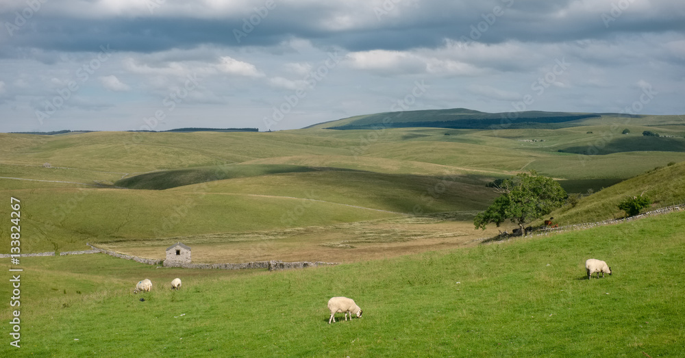 English countryside with green hills and sheep