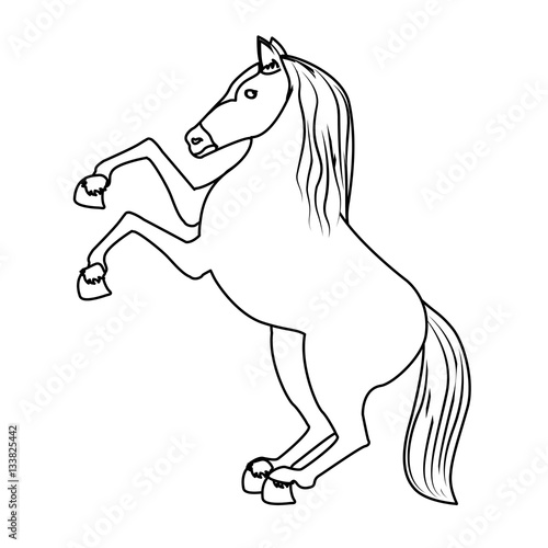 horse equine icon image vector illustration design