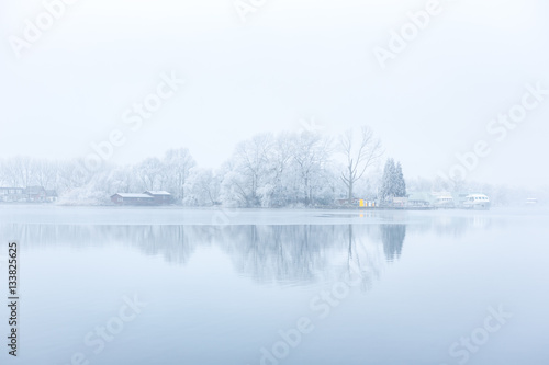 Frozen harbour trees on a foggy the Nieuwe Meer in Amsterdam the Netherlands.