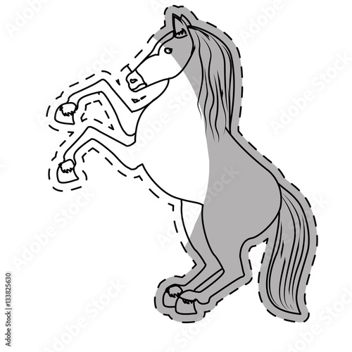 horse equine icon image vector illustration design