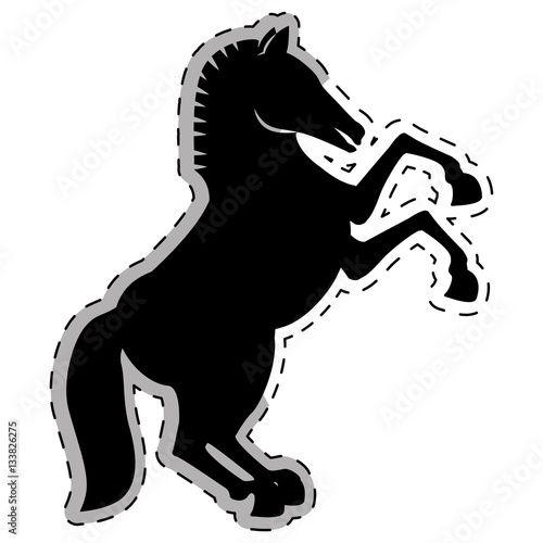 horse equine icon image vector illustration design