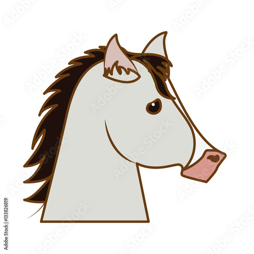 horse equine icon image vector illustration design